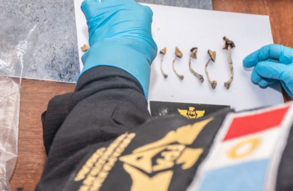 Detienen en Nueva Córdoba a dos estudiantes acusados de vender éxtasis, hongos alucinógenos y marihuana