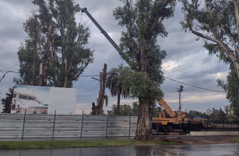Convocan a una protesta en Rosario contra la instalación de un McDonald’s