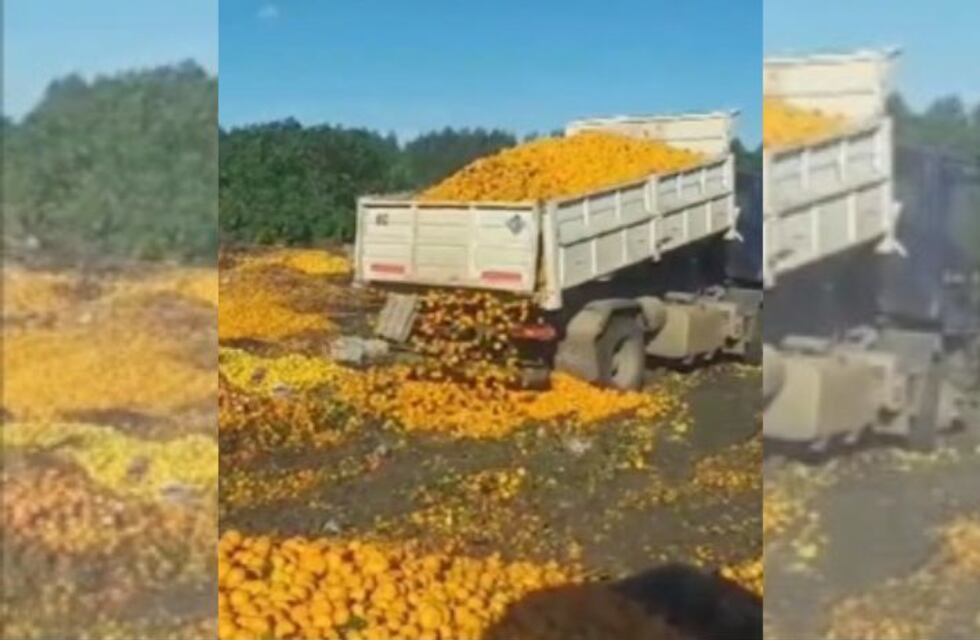 Tiraron toneladas de mandarinas en Entre Ríos: el motivo que indignó en redes sociales