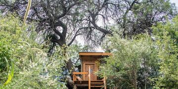 A través de Airbnb, los dueños de la Tiny House alquilan su propiedad como parte de una experiencia natural y diferente.