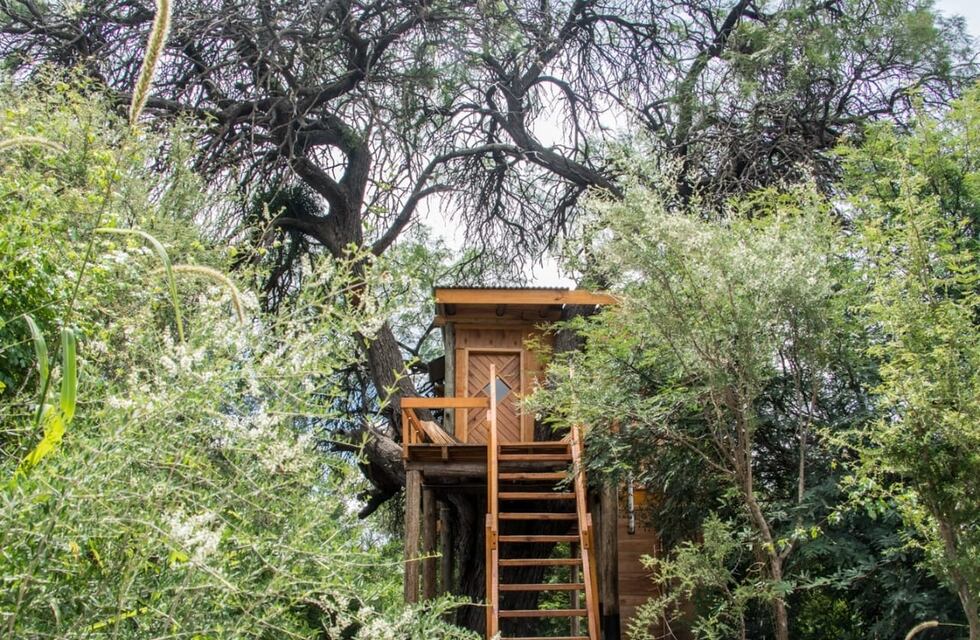Uno de los alojamientos “más extraños” está en Córdoba: cómo es la Tiny House y cuánto sale la noche