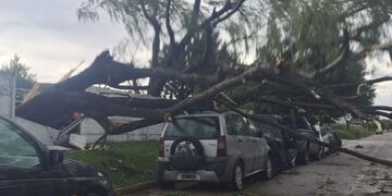 Destrozos en Córdoba tras el paso del temporal. (Foto: Gobierno de Córdoba)