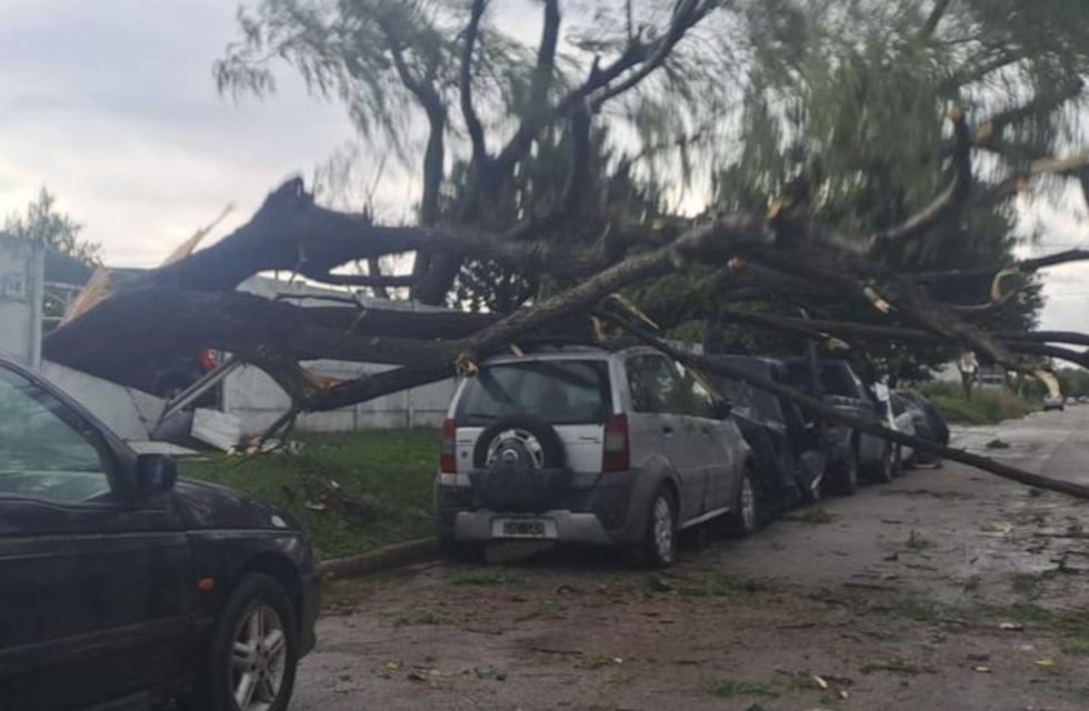 Imágenes impactantes: la tormenta causó destrozos en distintos puntos de Córdoba