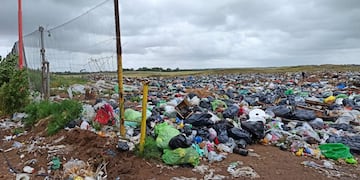 Piden se declare la Emergencia Ambiental en Coronel Rosales.
