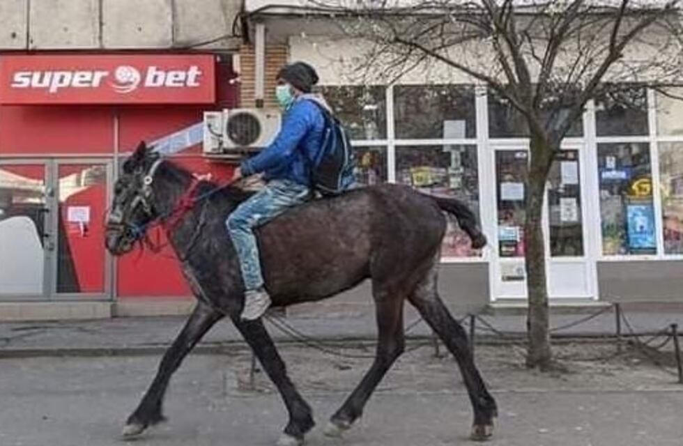 Atrapan en Pocito al “caballochorro” después de dos robos perpetrados en San Juan
