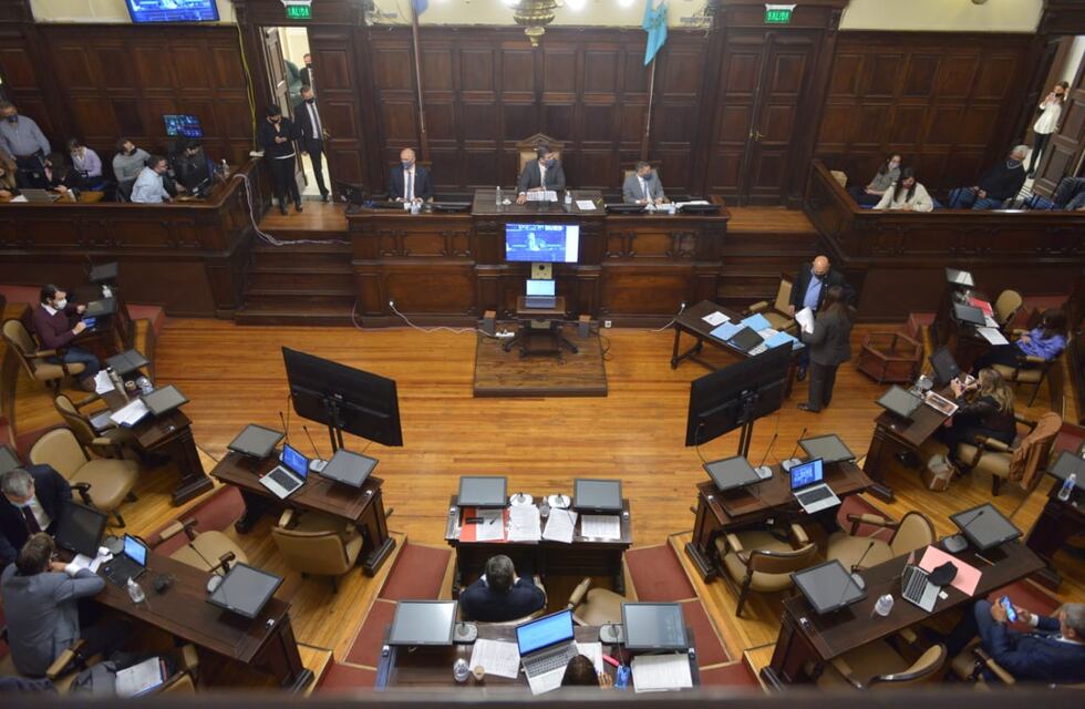 El gobierno de Mendoza aprobó la quita de beneficios sociales a los usurpadores