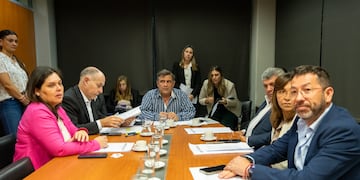 El presidente de la comisión, Carlos Gallia, subrayó que los cambios deben garantizar claridad y efectividad en el control financiero.