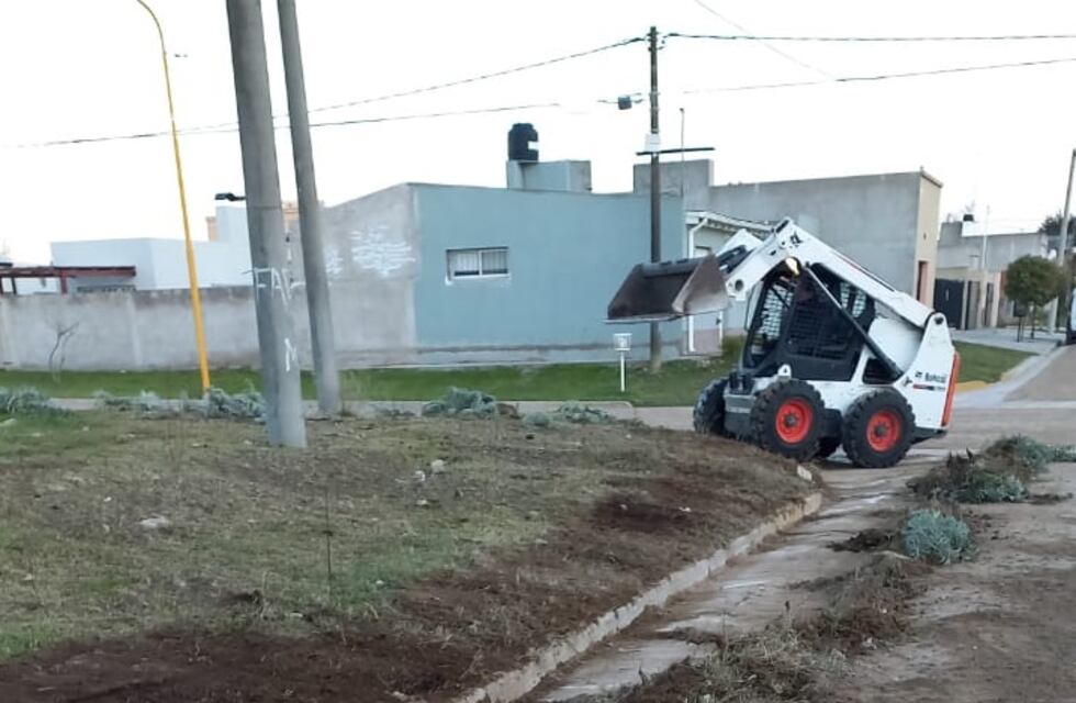 Informe semanal de la Secretaría de Gestión Ambiental de Tres Arroyos