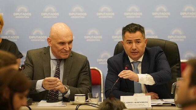 José Luis Espert y Gabriel Bornoroni, presidentes de las comisiones de Presupuesto y Legislación General (Foto: Clarín)