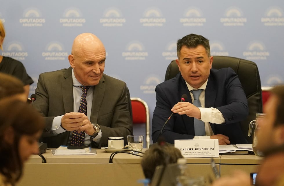 “Ley ómnibus”: qué dijeron los referentes de Milei en Córdoba, por la aprobación en general