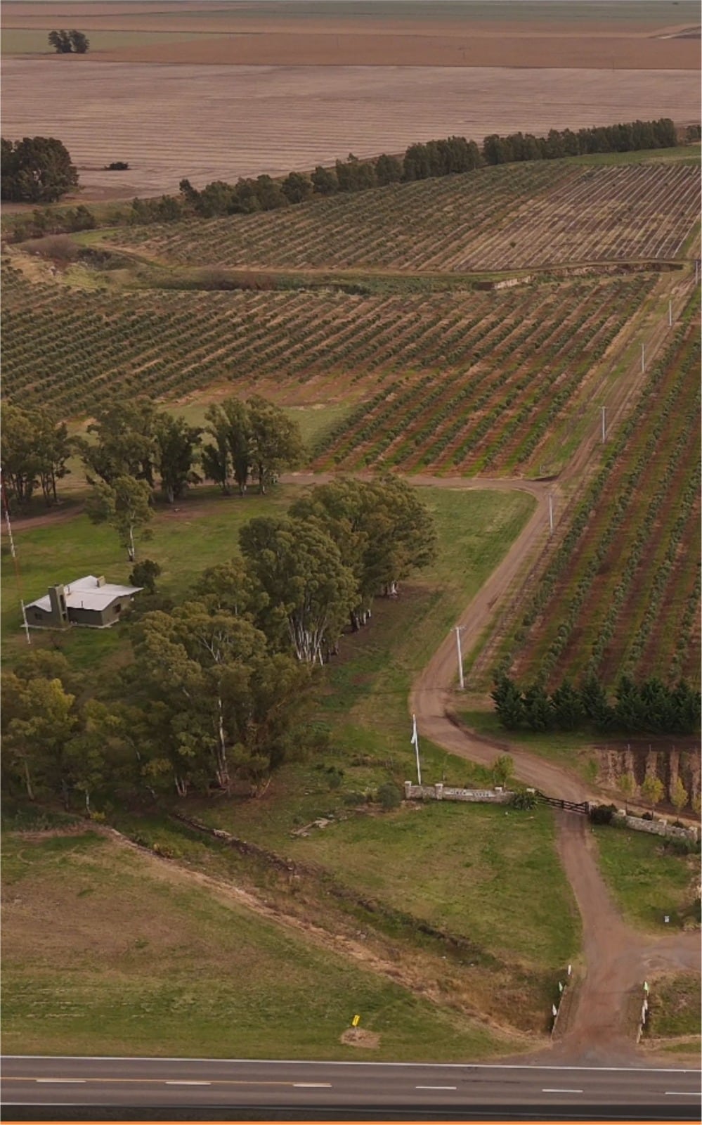 María Saavedra: “Tres Arroyos tiene condiciones excepcionales para producir aceite de oliva y vinos de calidad”