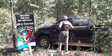 Una camioneta robada en Eldorado fue abandonada en un eucaliptal de Colonia Delicia