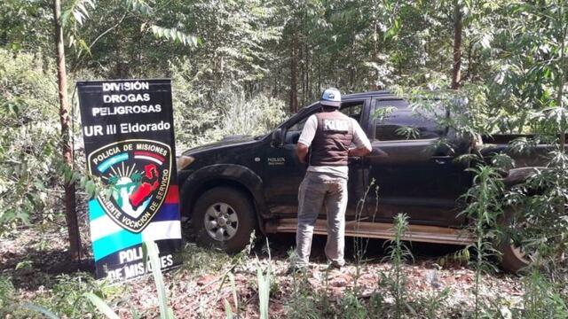Una camioneta robada en Eldorado fue abandonada en un eucaliptal de Colonia Delicia