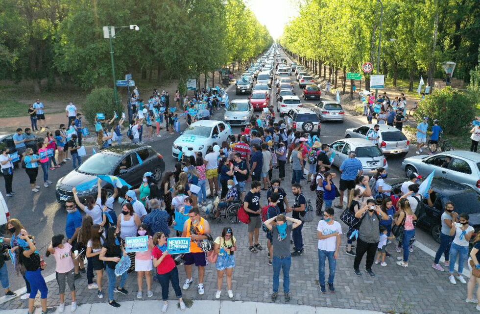 Grupos provida marcharon por las calles contra el proyecto de aborto legal