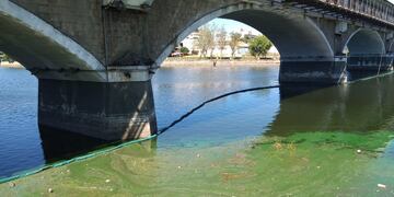 Colocaron redes en los puentes de Carlos Paz para contener las algas y la basura que termina en el lago San Roque.