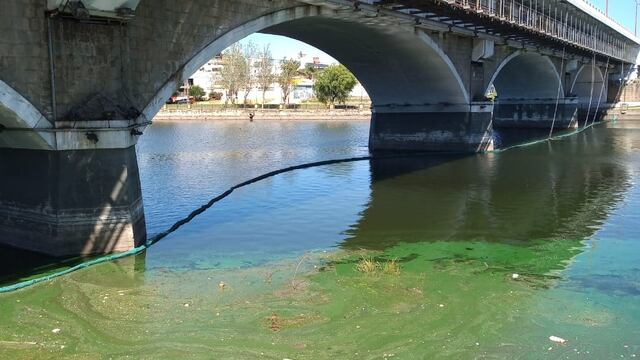 Colocaron redes en los puentes de Carlos Paz para contener las algas y la basura que termina en el lago San Roque.