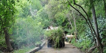 Intenso operativo de limpieza y mantenimiento se realiza en el Ecoparque donde ya se han retirado más de 900 toneladas de guano. Gentileza Gobierno de Mendoza