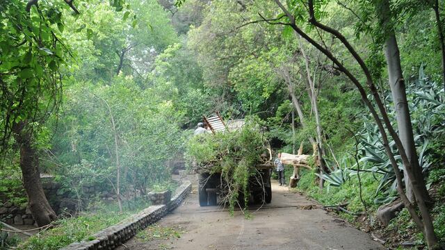 Intenso operativo de limpieza y mantenimiento se realiza en el Ecoparque donde ya se han retirado más de 900 toneladas de guano. Gentileza Gobierno de Mendoza
