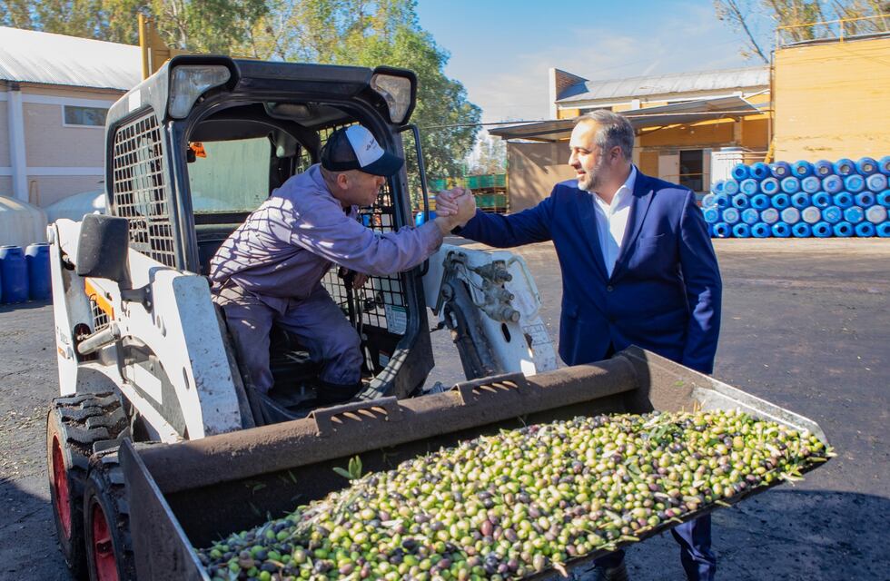 En Maipú crece la sociedad entre olivicultura y turismo