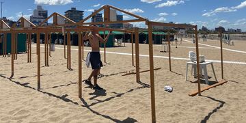 El intendente aclaró que serán 900 unidades de sombra las que serán quitadas