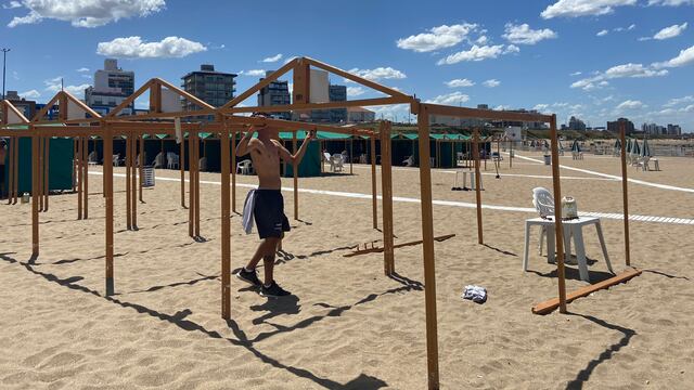 El intendente aclaró que serán 900 unidades de sombra las que serán quitadas