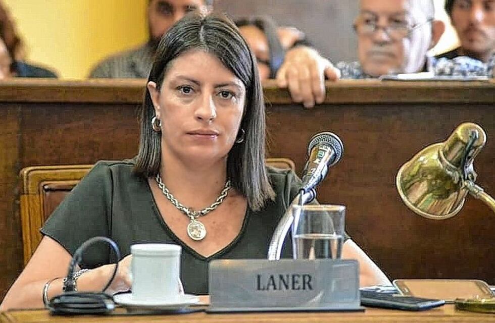 La diputada Carola Laner describió los temas que trabajará en la gestión