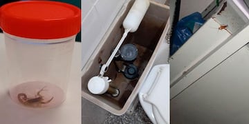 Las fotos fueron tomadas por la mamá de un paciente oncológico, internado en la institución.