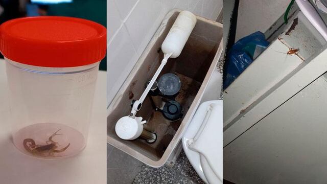 Las fotos fueron tomadas por la mamá de un paciente oncológico, internado en la institución.