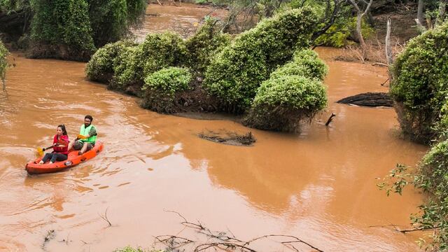 Desde Rewilding Argentina explicaron que “trabajamos desde 2011 junto a más organizaciones para ayudar a proteger 128 mil hectáreas de bosques de quebrachos, algarrobos y palo santos, selvas en galería, simbolares y lagunas formadas por las inundaciones del río Bermejo”.