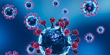 Covid 19 y el impacto en Argentina. (Archivo)