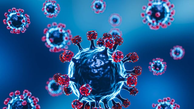 Covid 19 y el impacto en Argentina. (Archivo)