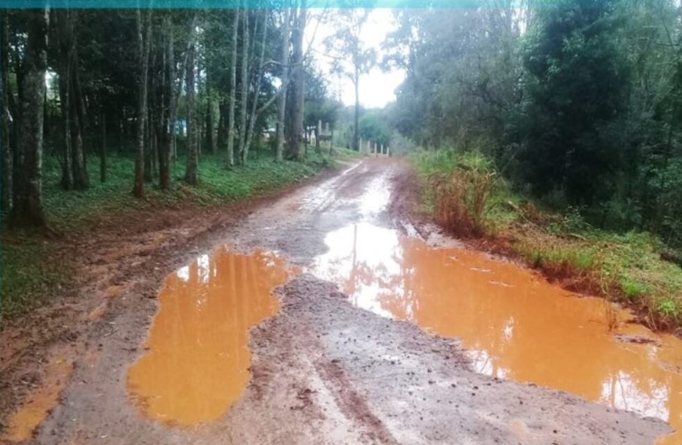 Puerto Iguazú: la Asociación Civil 2000 hectáreas solicitó arregló de calles en la zona