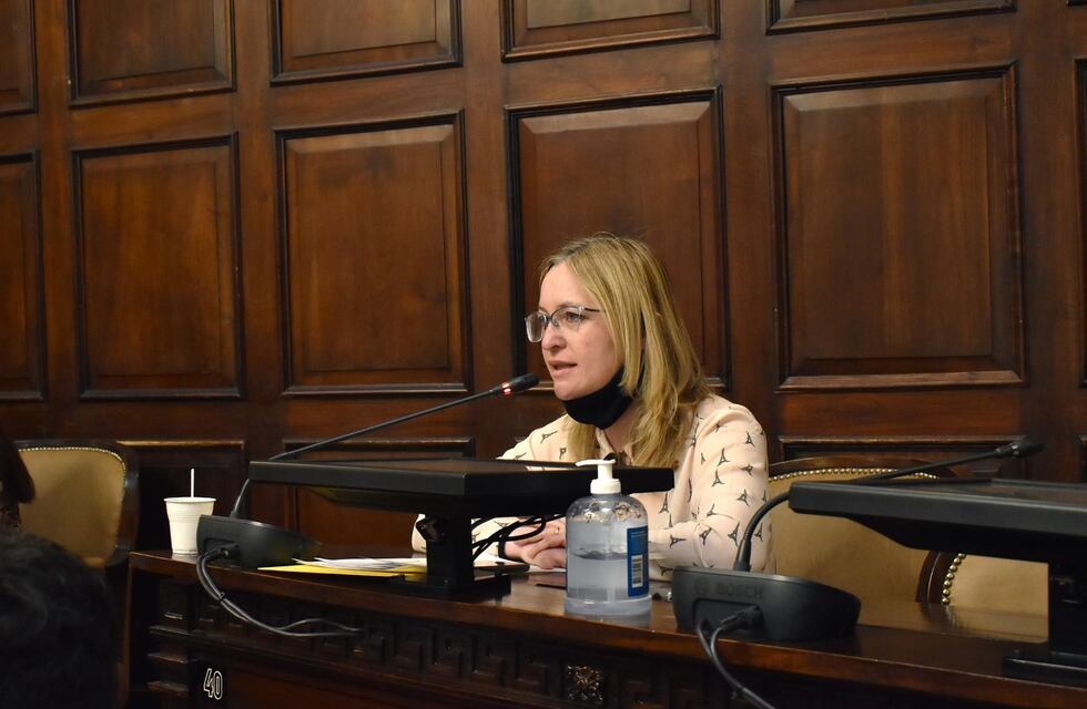 Una legisladora mendocina propone indemnizar a los comercios que cerraron por pandemia