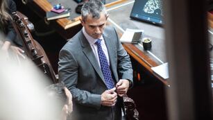 El presidente de la Cámara de Diputados, Martín Menem (Foto: Federico López Claro)
