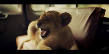 "King: regreso a casa"