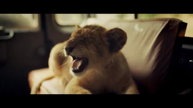 "King: regreso a casa"