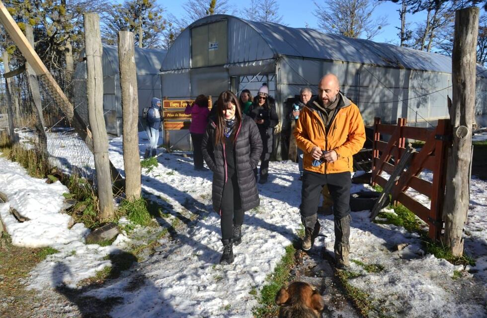 Iniciaron la nueva temporada de plantación en cercanías a Tolhuin