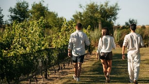 Camino del Vino de Gualeguaychú