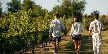Camino del Vino de Gualeguaychú