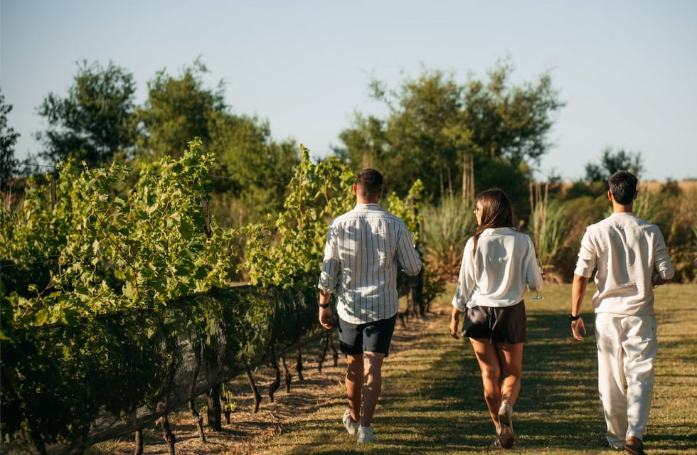 Vacaciones de invierno: una experiencia diferente en el Camino del Vino de Gualeguaychú