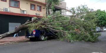 Destrozos, árboles caídos y dos personas lesionadas tras el fuerte temporal en Posadas.