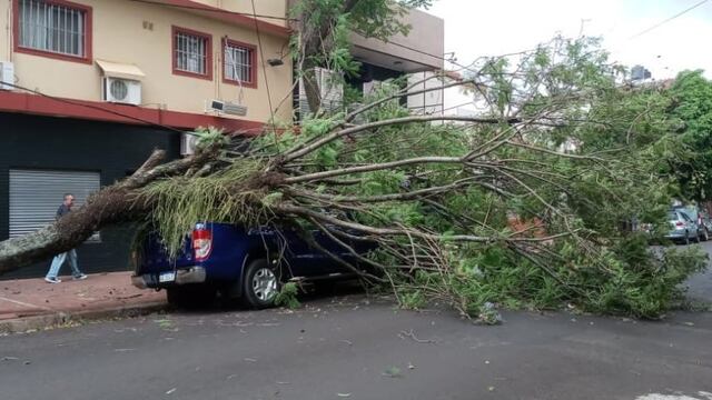 Destrozos, árboles caídos y dos personas lesionadas tras el fuerte temporal en Posadas.