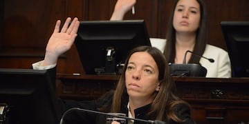 Diputada por la Unión Cívica Radical, Daniela García. Ella es quien, junto al diputado Adrián Reche, llevan a adelante el proyecto.