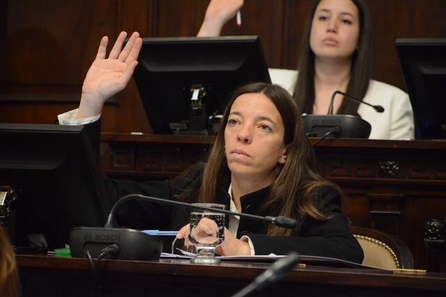 Diputada por la Unión Cívica Radical, Daniela García. Ella es quien, junto al diputado Adrián Reche, llevan a adelante el proyecto.