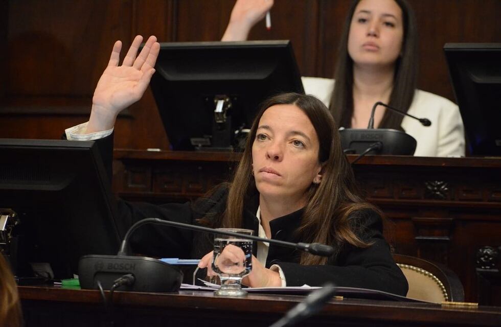 Sesiones Legislativas en Mendoza: comenzarán a debatir un proyecto que busca sancionar el ciberacoso hasta con prisión
