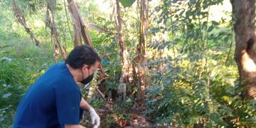 San Javier: denuncian a un hombre por comer perros y gatos.