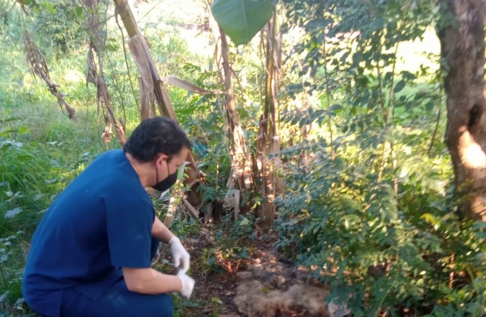 San Javier: denuncian a un hombre por comer perros y gatos