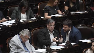 El jefe del bloque oficialista, Germán Martínez, quiere ampliar la sesión pedida por Hacemos Coalición Federal (Foto: Federico López Claro)