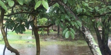 Continuarán las lluvias en Iberá y los brigadistas comienzan a retirarse
