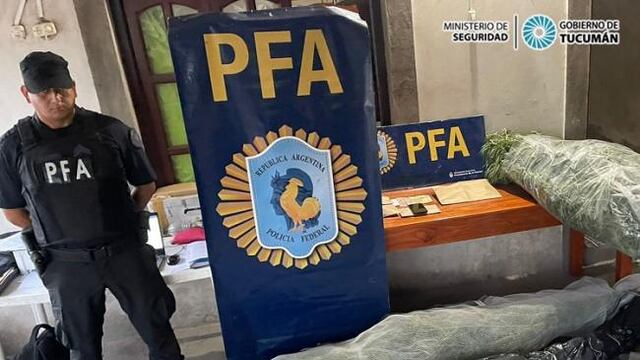 Río Chico: a través del Operativo Lapacho, desmantelaron un “invernadero de cannabis”